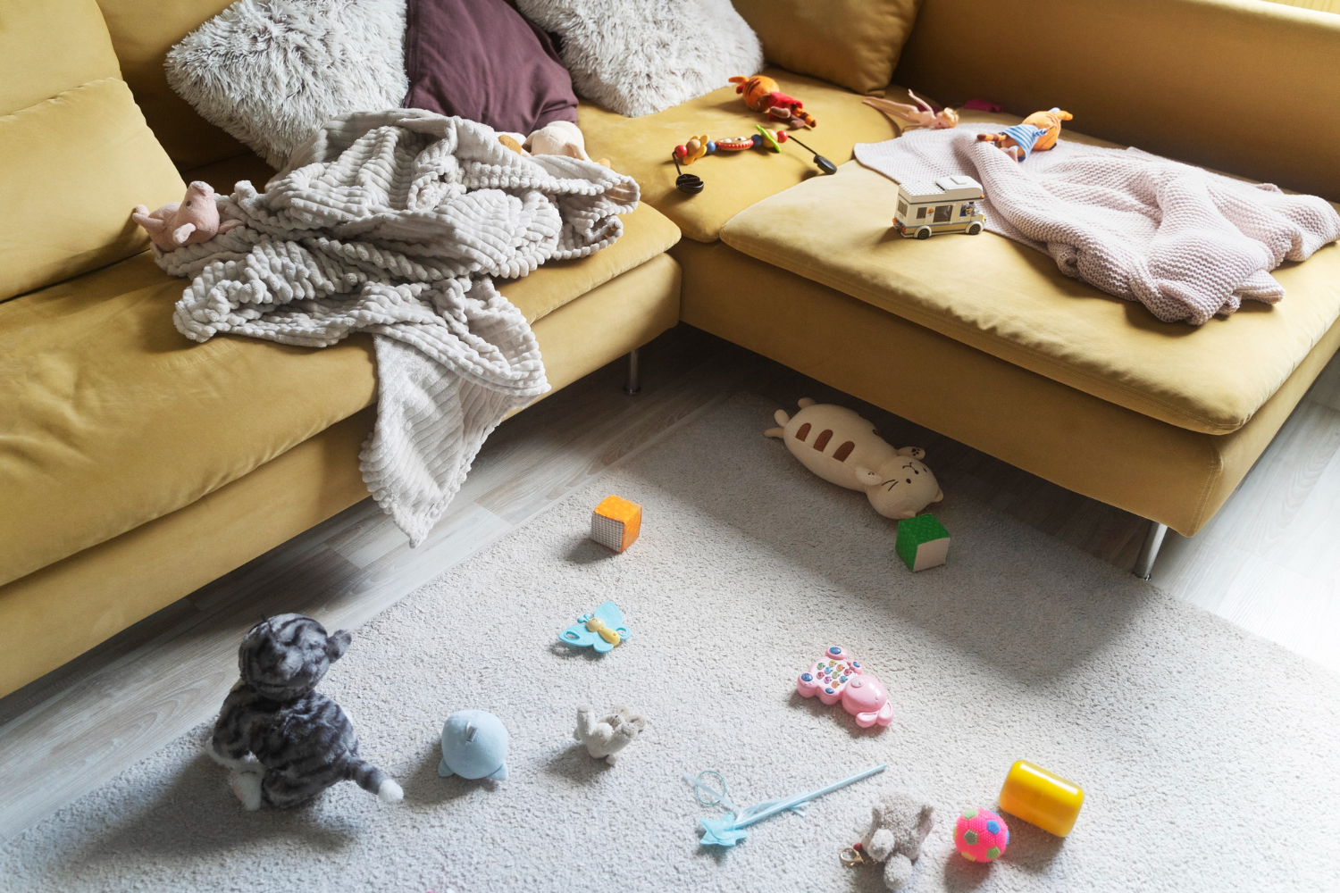 Best Tips and Tricks on How to Declutter Your Home Quickly and ...